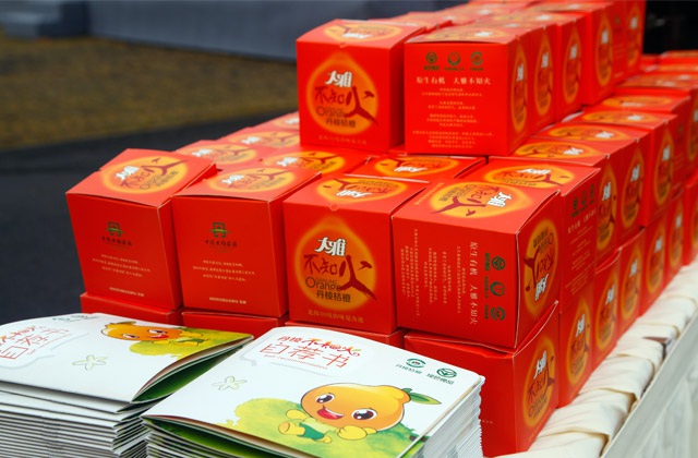 丹棱不知火愛(ài)媛耙耙柑春見(jiàn)清見(jiàn)桔橙水果品牌營(yíng)銷(xiāo)策劃方案|丹棱水果品牌建設(shè)推廣設(shè)計(jì)執(zhí)行公司