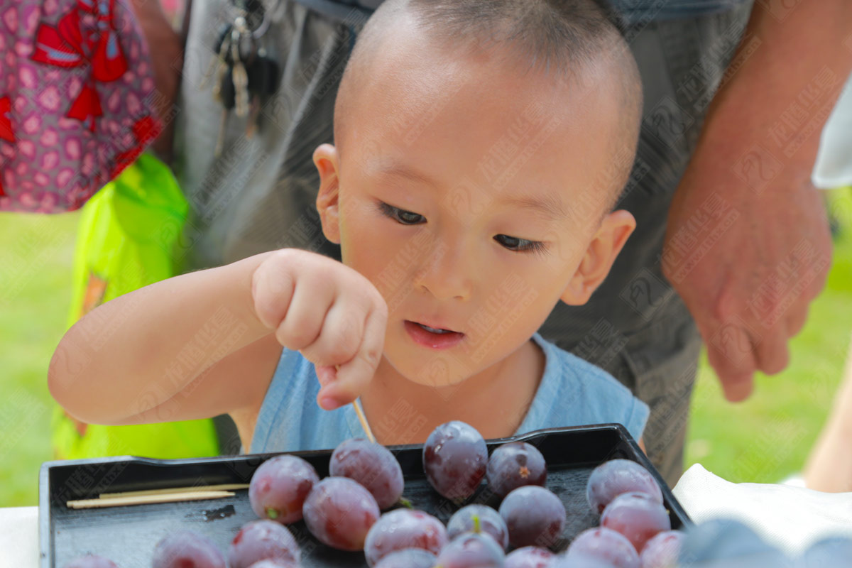 彭山葡萄節(jié)營銷活動策劃 彭山葡萄節(jié)營銷活動策劃