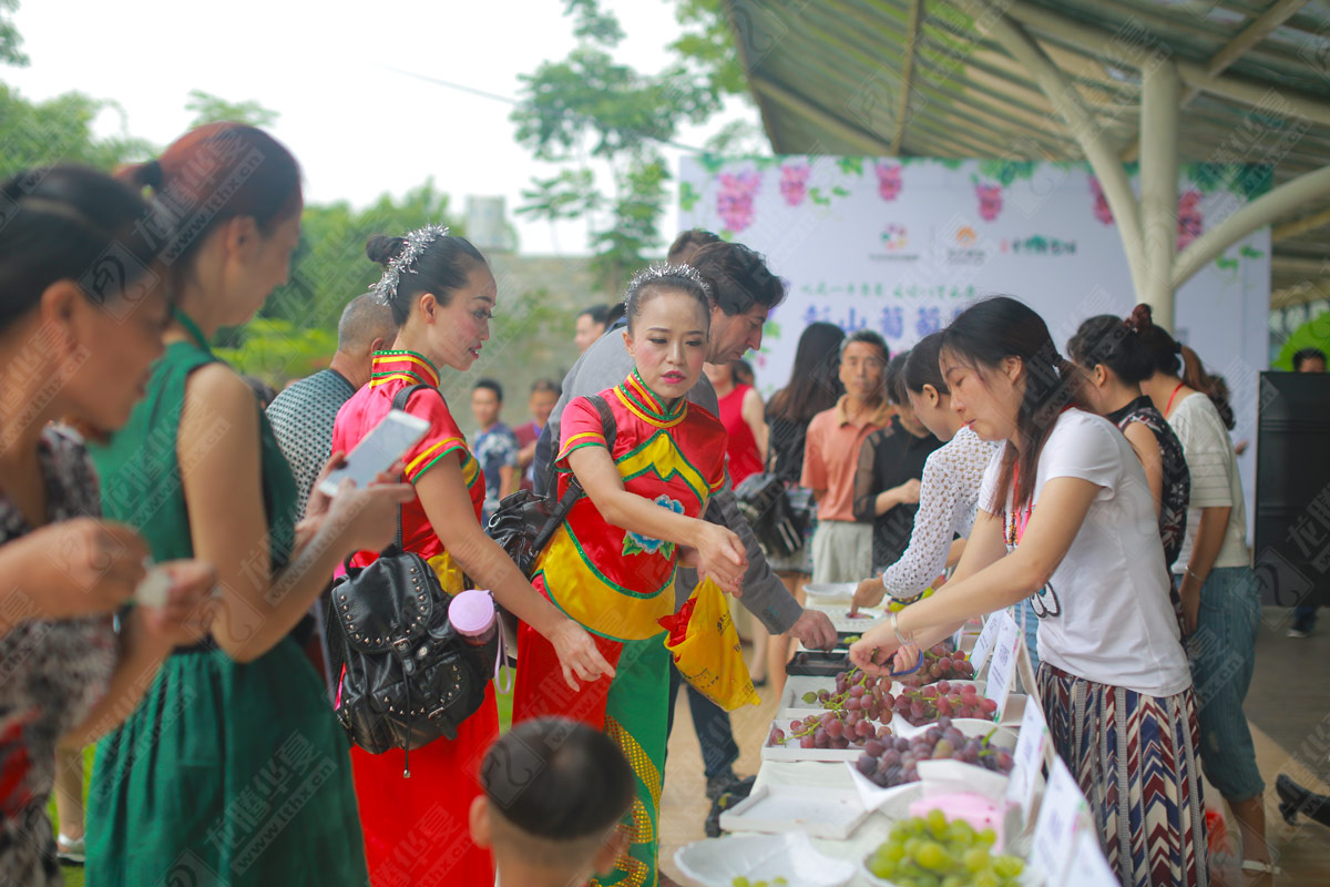 彭山葡萄節(jié)營銷活動策劃 彭山葡萄節(jié)營銷活動策劃