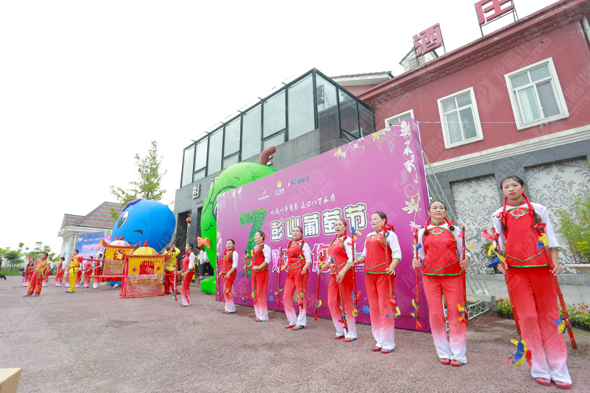 彭山葡萄節(jié)營銷活動策劃 彭山葡萄節(jié)營銷活動策劃
