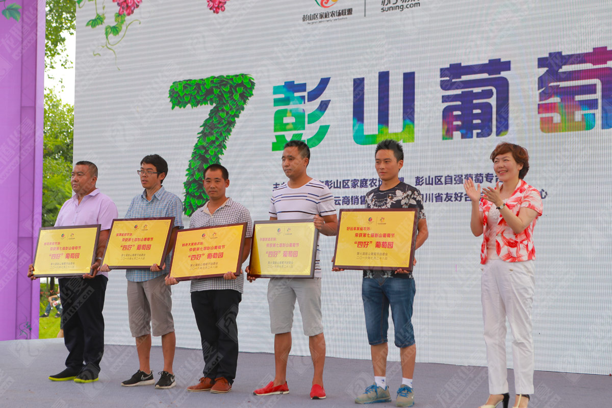 彭山葡萄節(jié)營銷活動策劃 彭山葡萄節(jié)營銷活動策劃