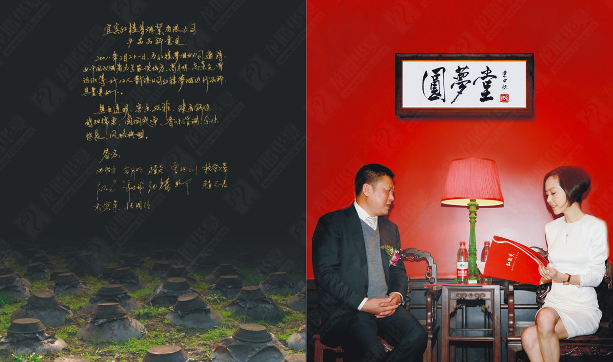 紅樓夢(mèng)酒宣傳畫(huà)冊(cè)設(shè)計(jì) 紅樓夢(mèng)酒宣傳畫(huà)冊(cè)設(shè)計(jì)