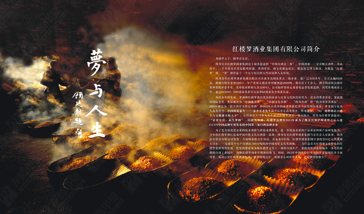 紅樓夢(mèng)酒宣傳畫(huà)冊(cè)設(shè)計(jì) 紅樓夢(mèng)酒宣傳畫(huà)冊(cè)設(shè)計(jì)