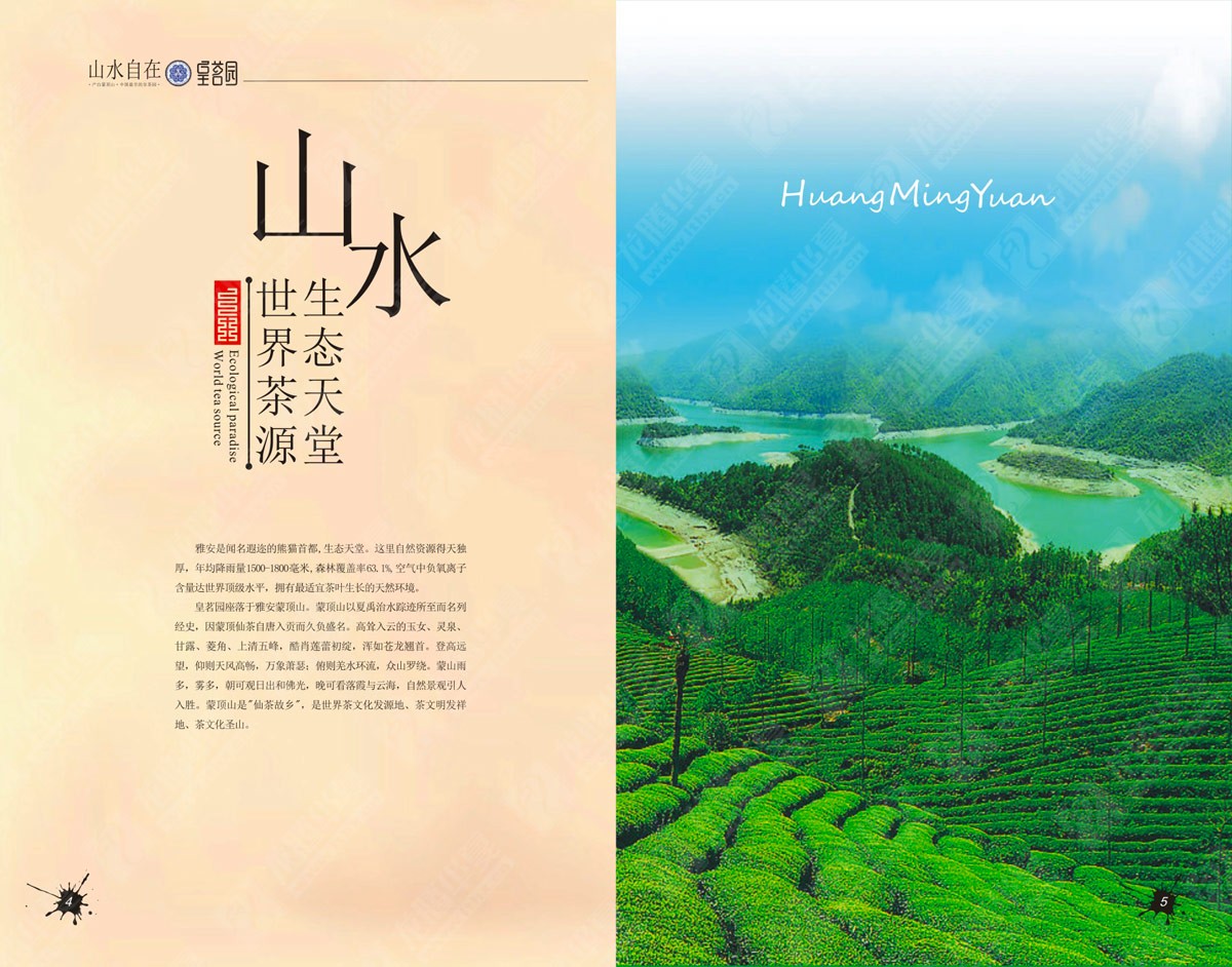 蒙頂山皇茗園茶業(yè)宣傳畫(huà)冊(cè)設(shè)計(jì) 蒙頂山皇茗園茶業(yè)宣傳畫(huà)冊(cè)設(shè)計(jì)