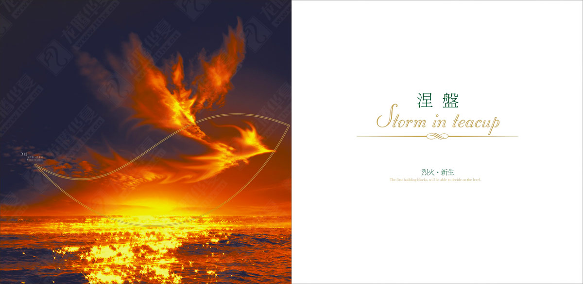 文君茶畫(huà)冊(cè)設(shè)計(jì) 文君茶畫(huà)冊(cè)設(shè)計(jì)