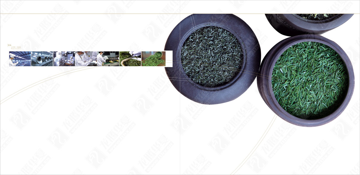 文君茶畫(huà)冊(cè)設(shè)計(jì) 文君茶畫(huà)冊(cè)設(shè)計(jì)