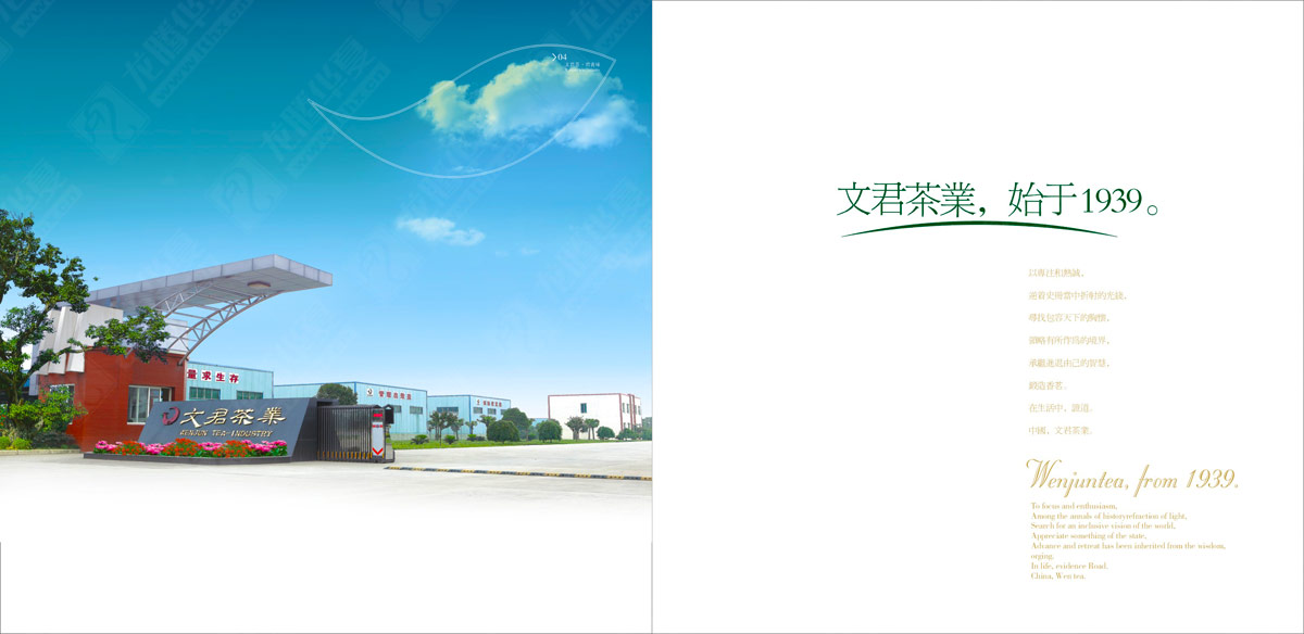 文君茶畫(huà)冊(cè)設(shè)計(jì) 文君茶畫(huà)冊(cè)設(shè)計(jì)