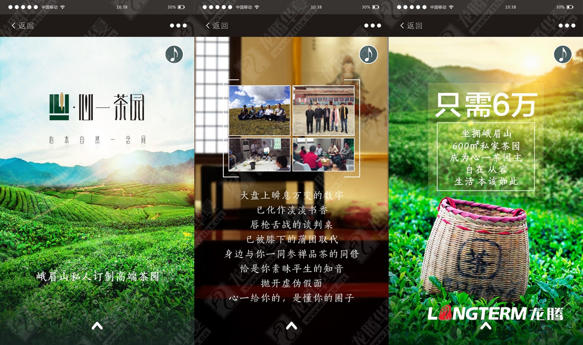 心一茶園H5設(shè)計 心一茶園H5設(shè)計