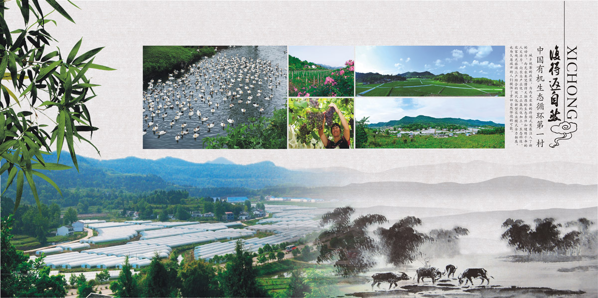 西充縣城市旅游畫冊(cè)設(shè)計(jì)_成都城市旅游形象畫冊(cè)設(shè)計(jì)公司_成都旅游宣傳冊(cè)設(shè)計(jì)公司 西充縣城市旅游畫冊(cè)設(shè)計(jì)_成都城市旅游形象畫冊(cè)設(shè)計(jì)公司_成都旅游宣傳冊(cè)設(shè)計(jì)公司