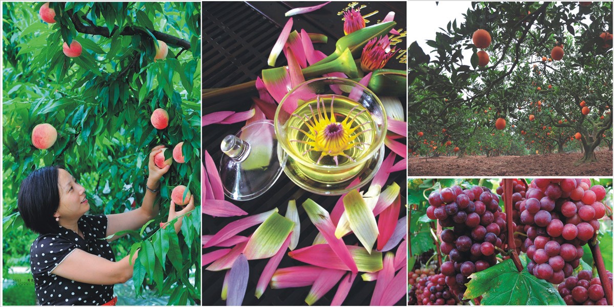 西充縣城市旅游畫冊(cè)設(shè)計(jì)_成都城市旅游形象畫冊(cè)設(shè)計(jì)公司_成都旅游宣傳冊(cè)設(shè)計(jì)公司 西充縣城市旅游畫冊(cè)設(shè)計(jì)_成都城市旅游形象畫冊(cè)設(shè)計(jì)公司_成都旅游宣傳冊(cè)設(shè)計(jì)公司