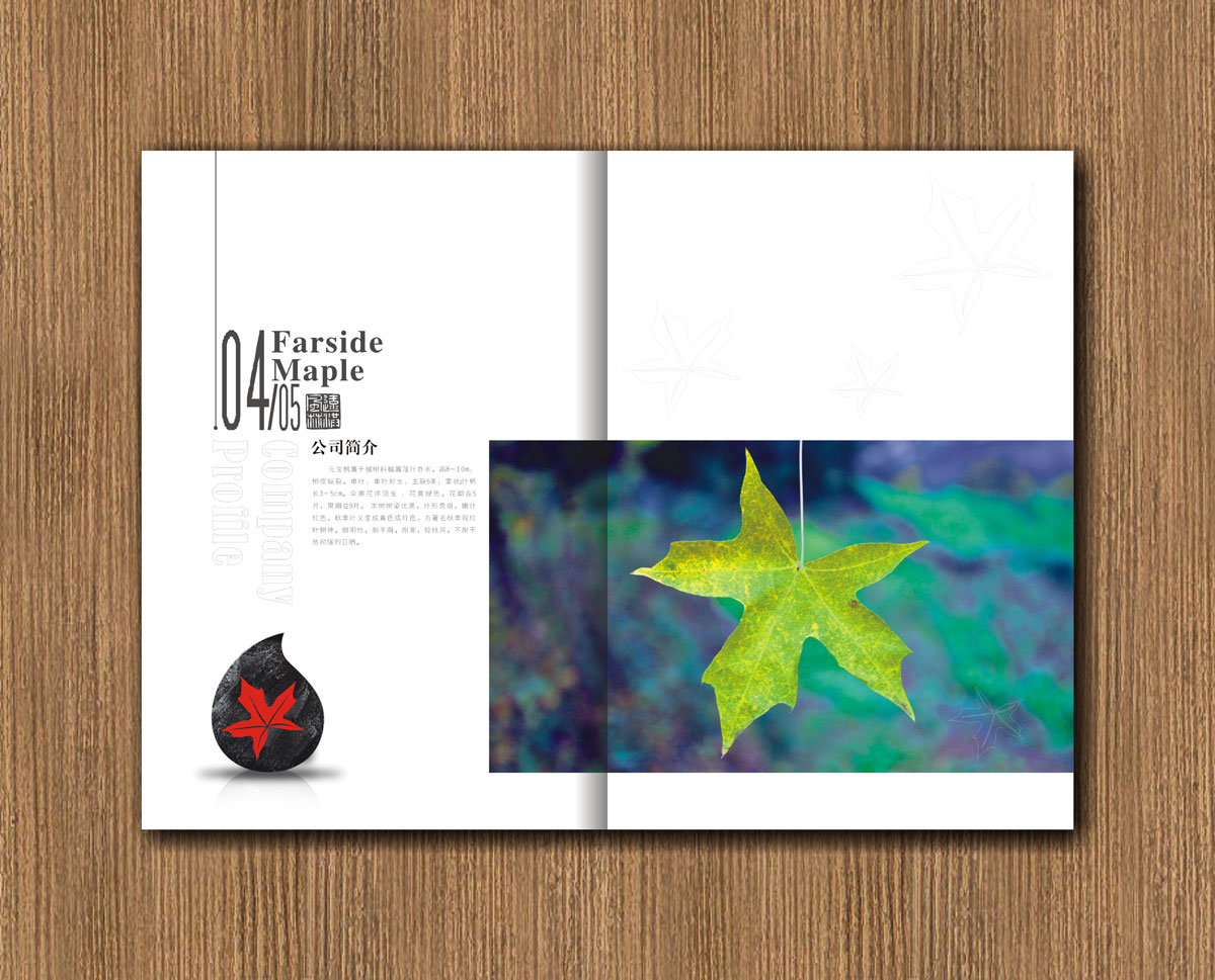 遠(yuǎn)紅楓林林業(yè)公司畫冊設(shè)計_成都林業(yè)公司宣傳畫冊設(shè)計公司 遠(yuǎn)紅楓林林業(yè)公司畫冊設(shè)計_成都林業(yè)公司宣傳畫冊設(shè)計公司