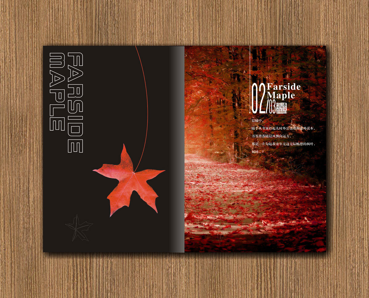 遠(yuǎn)紅楓林林業(yè)公司畫冊設(shè)計_成都林業(yè)公司宣傳畫冊設(shè)計公司 遠(yuǎn)紅楓林林業(yè)公司畫冊設(shè)計_成都林業(yè)公司宣傳畫冊設(shè)計公司