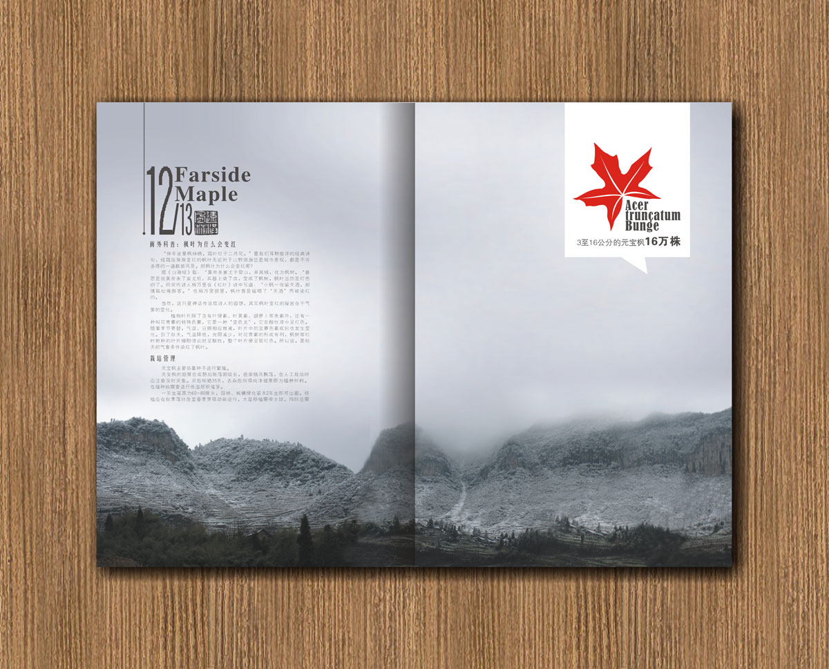 遠(yuǎn)紅楓林林業(yè)公司畫冊設(shè)計_成都林業(yè)公司宣傳畫冊設(shè)計公司 遠(yuǎn)紅楓林林業(yè)公司畫冊設(shè)計_成都林業(yè)公司宣傳畫冊設(shè)計公司