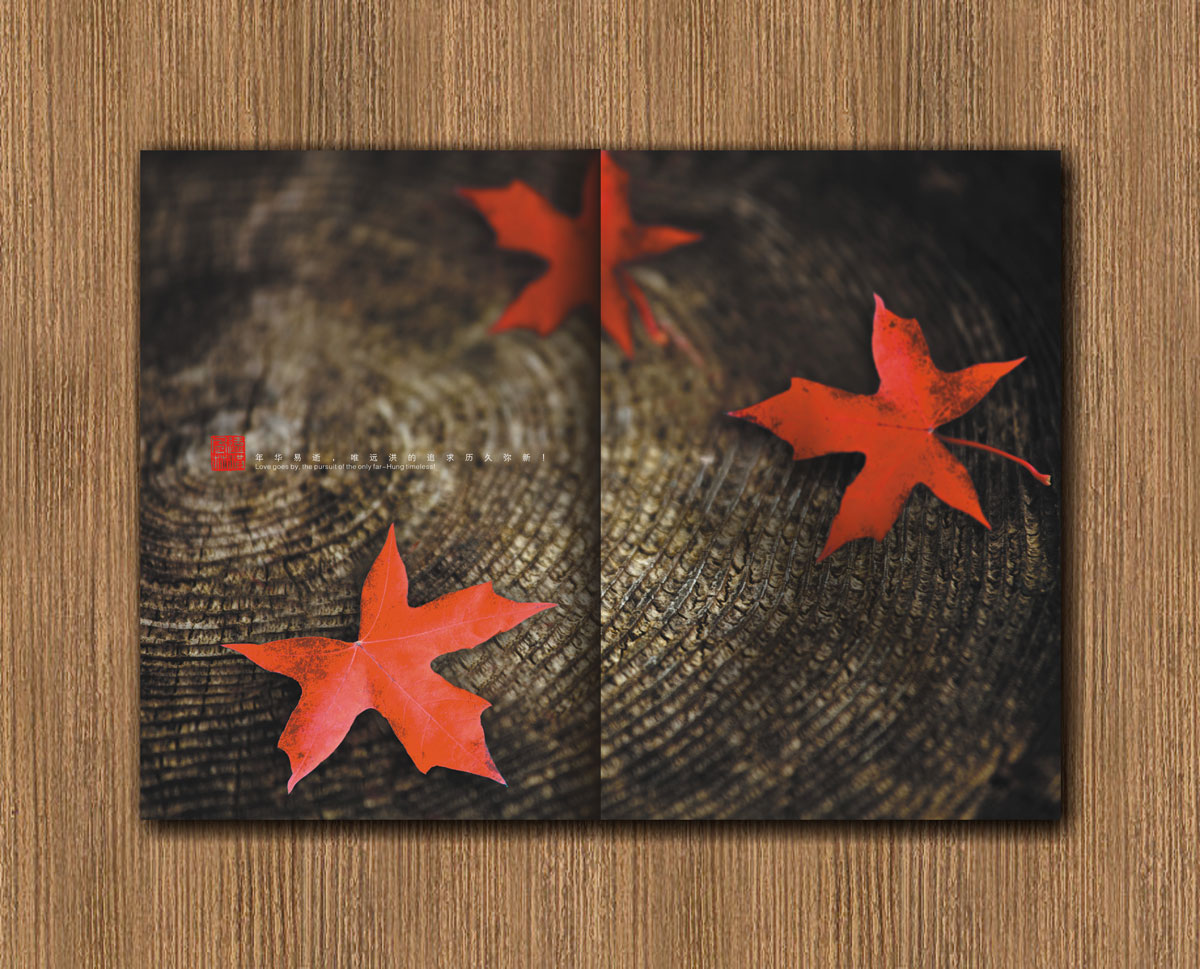 遠(yuǎn)紅楓林林業(yè)公司畫冊設(shè)計_成都林業(yè)公司宣傳畫冊設(shè)計公司 遠(yuǎn)紅楓林林業(yè)公司畫冊設(shè)計_成都林業(yè)公司宣傳畫冊設(shè)計公司