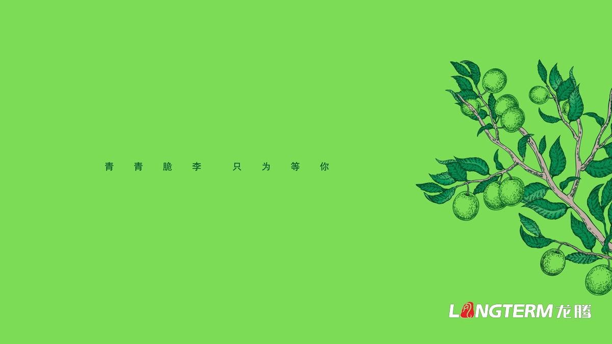 李子園產(chǎn)品包裝設(shè)計(jì)效果圖_四川省達(dá)州市大竹縣水果彩箱禮盒包裝設(shè)計(jì)公司 李子園產(chǎn)品包裝設(shè)計(jì)效果圖_四川省達(dá)州市大竹縣水果彩箱禮盒包裝設(shè)計(jì)公司