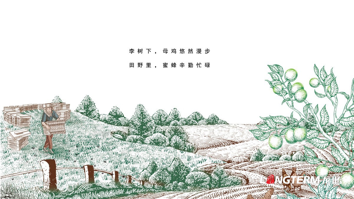 李子園產(chǎn)品包裝設(shè)計(jì)效果圖_四川省達(dá)州市大竹縣水果彩箱禮盒包裝設(shè)計(jì)公司 李子園產(chǎn)品包裝設(shè)計(jì)效果圖_四川省達(dá)州市大竹縣水果彩箱禮盒包裝設(shè)計(jì)公司