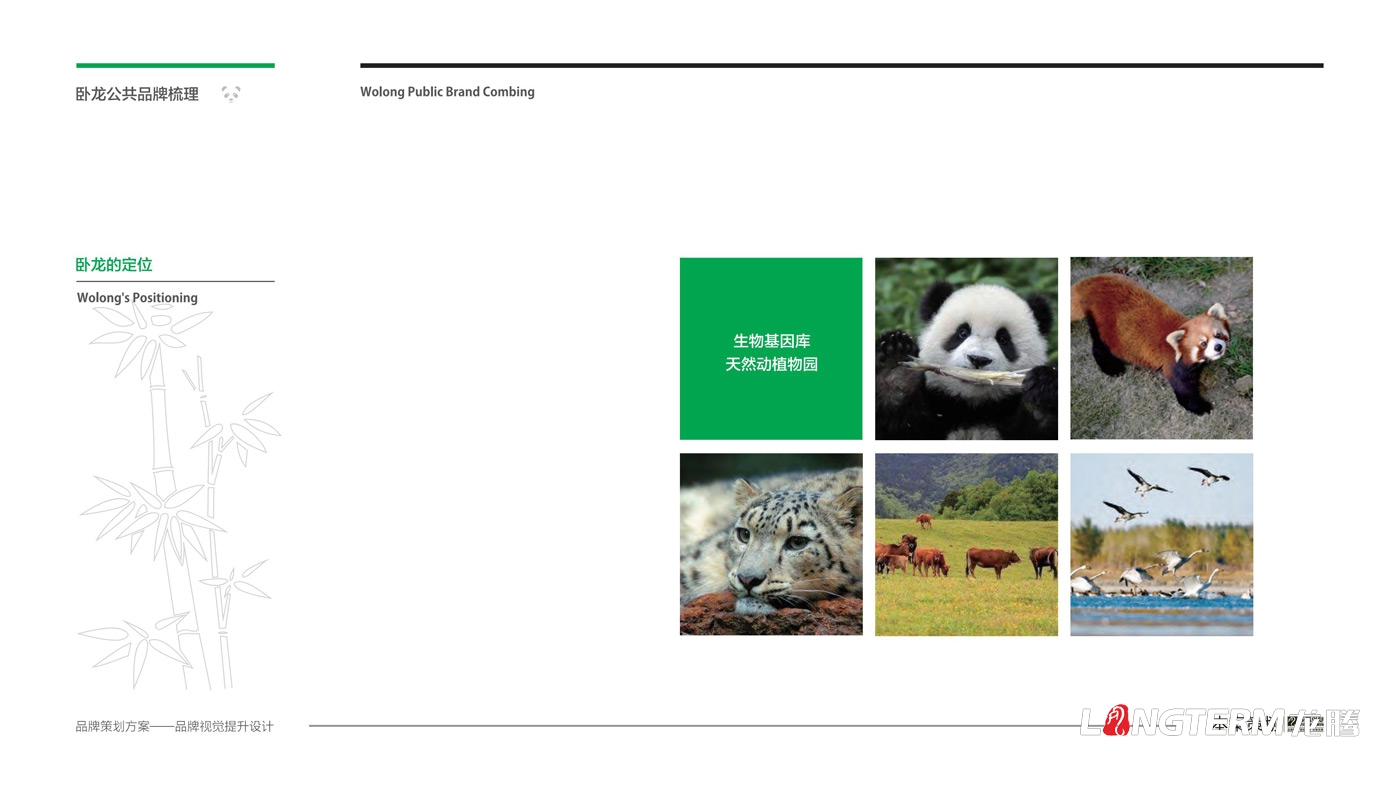 臥龍鎮(zhèn)區(qū)域公用品牌策劃_臥龍?zhí)貏e行政區(qū)品味臥龍區(qū)域公共品牌策劃及形象設(shè)計 臥龍鎮(zhèn)區(qū)域公用品牌策劃_臥龍?zhí)貏e行政區(qū)品味臥龍區(qū)域公共品牌策劃及形象設(shè)計