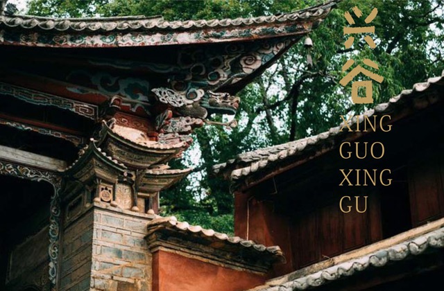 興國(guó)興谷農(nóng)業(yè)公司畫(huà)冊(cè)設(shè)計(jì)_興國(guó)興谷農(nóng)業(yè)發(fā)展有限公司宣傳手冊(cè)設(shè)計(jì)