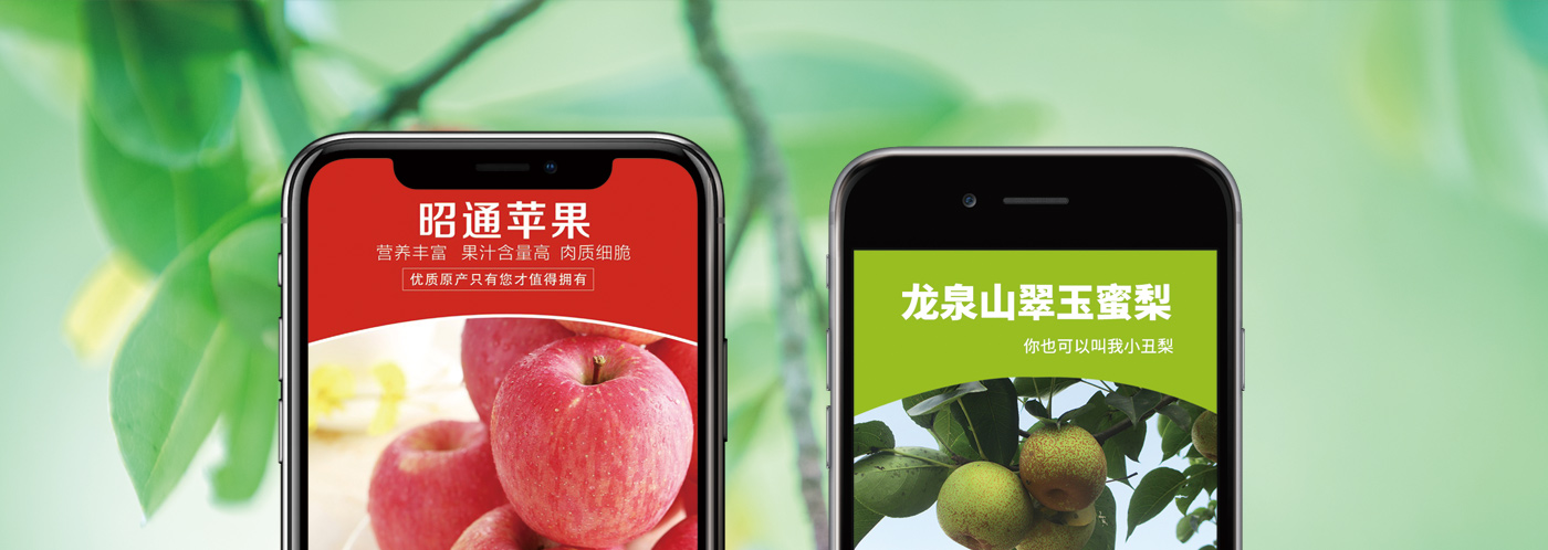 西域香妃水果詳情頁(yè)設(shè)計(jì) 西域香妃水果詳情頁(yè)設(shè)計(jì)