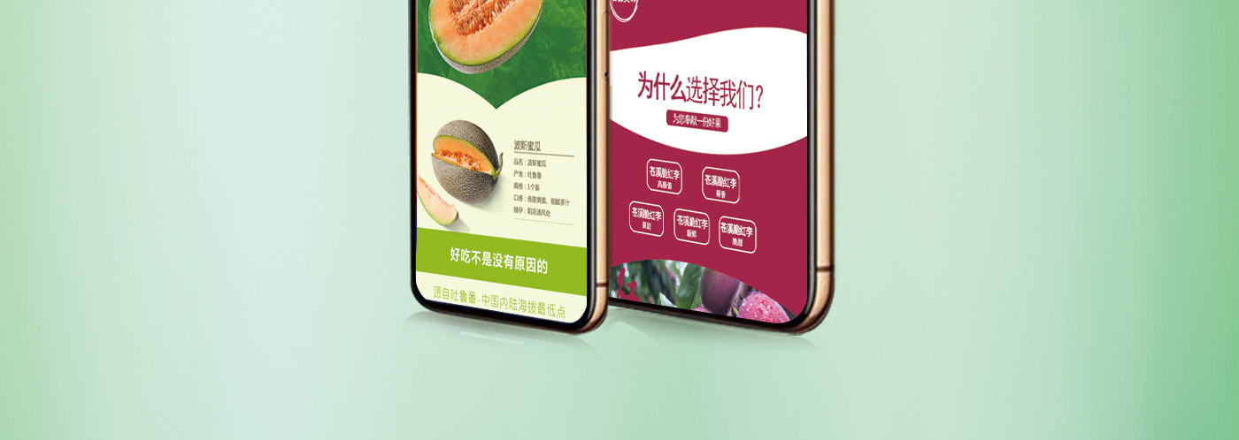 西域香妃水果詳情頁(yè)設(shè)計(jì) 西域香妃水果詳情頁(yè)設(shè)計(jì)