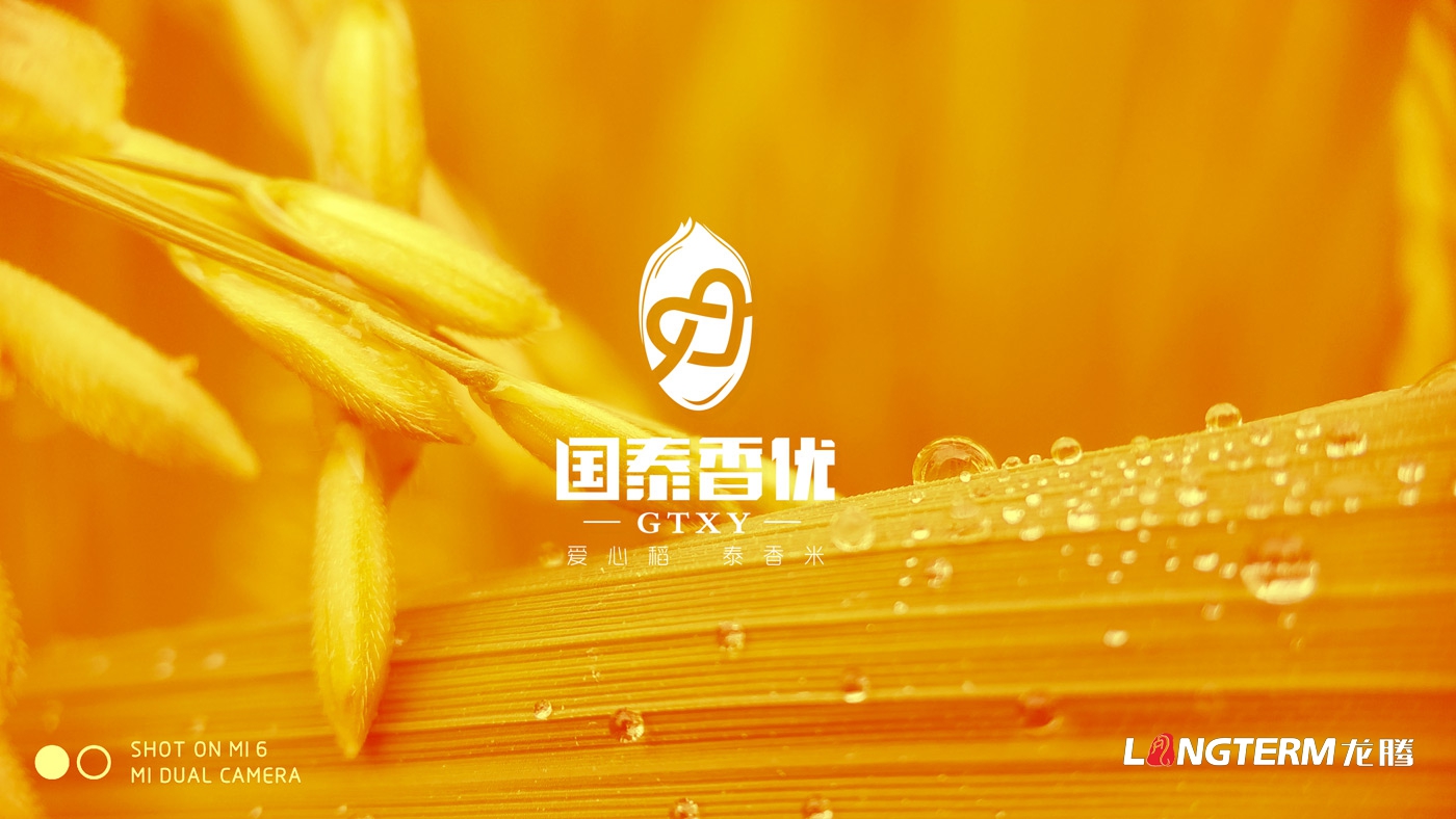 國泰香優(yōu)品牌形象VIS設(shè)計(jì)_四川眾智種業(yè)科技有限公司品牌視覺VI設(shè)計(jì) 國泰香優(yōu)品牌形象VIS設(shè)計(jì)_四川眾智種業(yè)科技有限公司品牌視覺VI設(shè)計(jì)